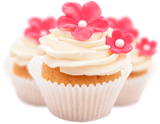 cake icon
